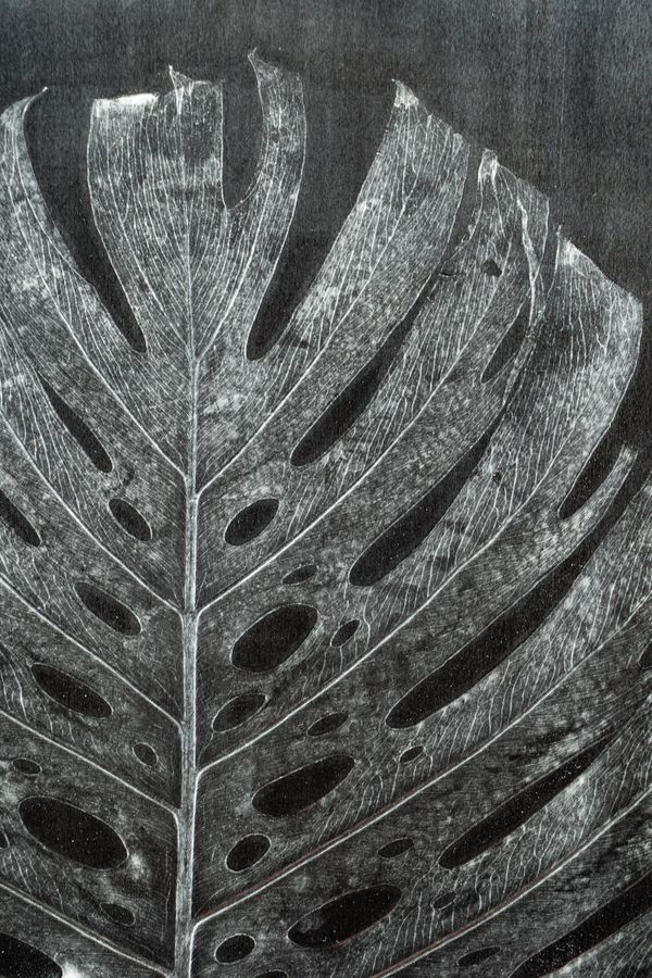 Léa Barbazanges - Aluminum leaf