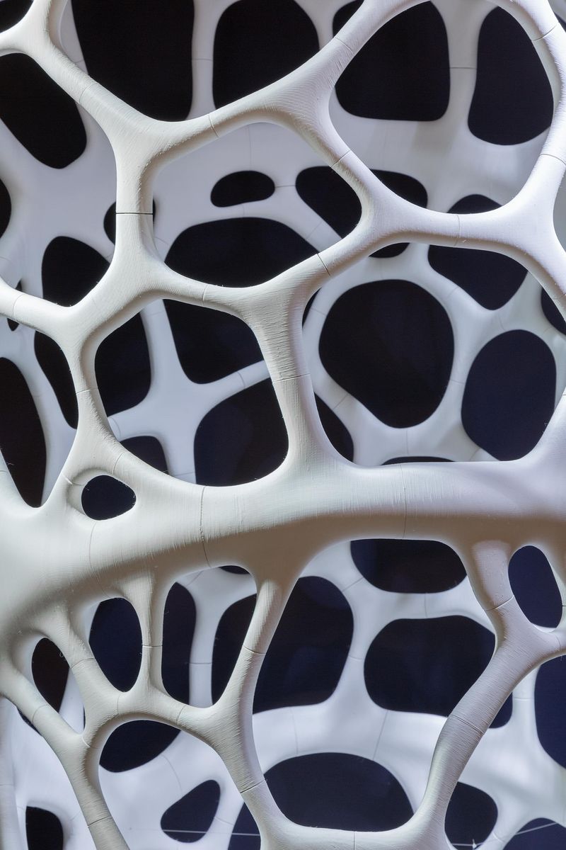 Léa Barbazanges - Diatom-0