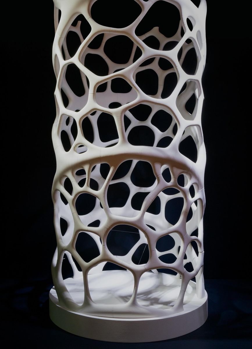 Léa Barbazanges - Diatom-1