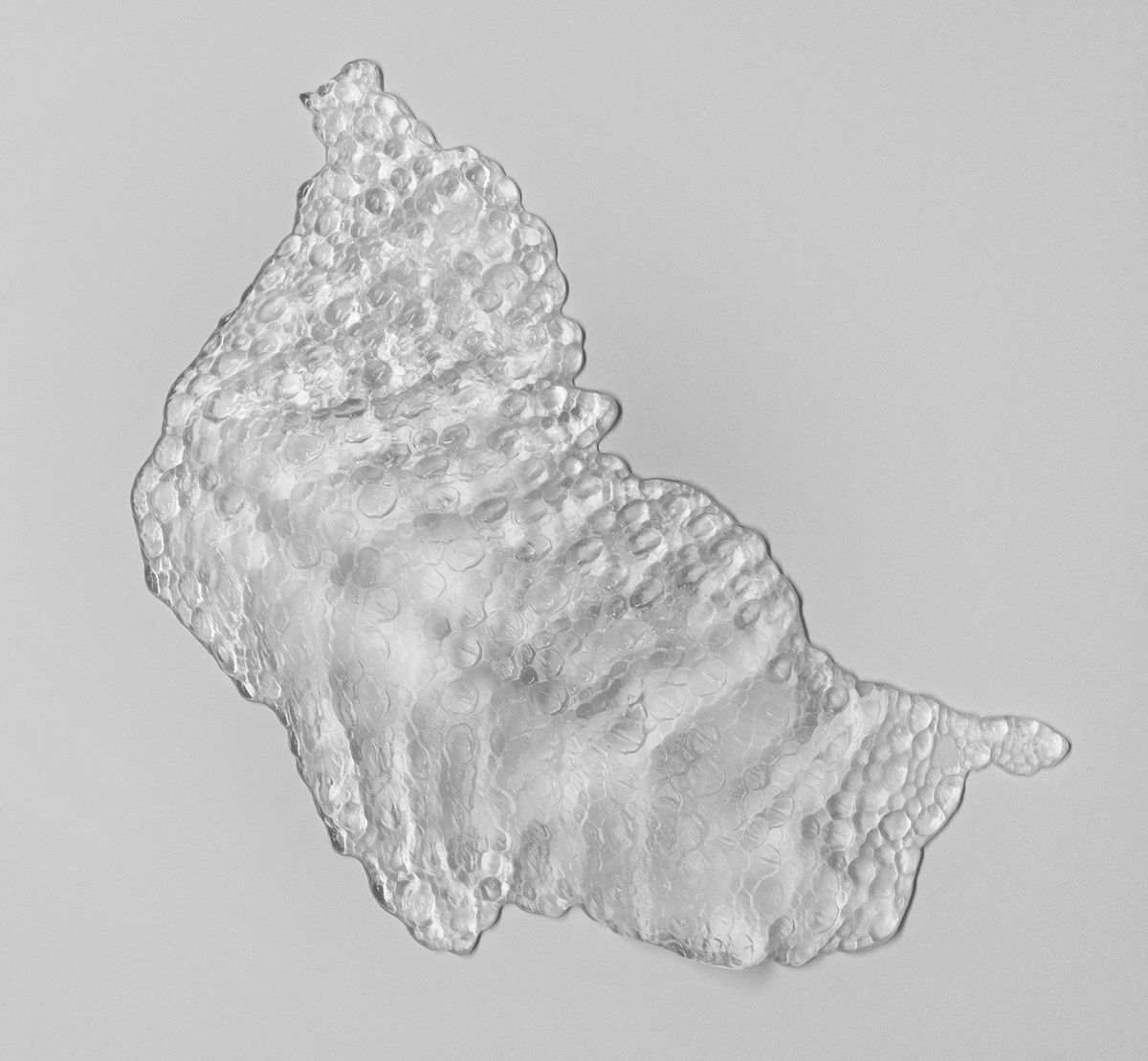 Léa Barbazanges - Mue-1